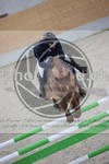ref. photo 3413138