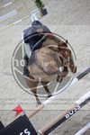 ref. photo 3413141