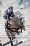 ref. photo 3413146