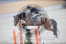 ref. photo 3413148