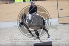 ref. photo 3413161