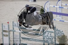ref. photo 3413162