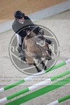 ref. photo 3413187