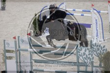 ref. photo 3413202