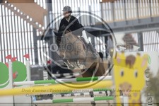 ref. photo 3413216