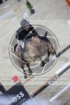 ref. photo 3413222