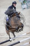 ref. photo 3413265