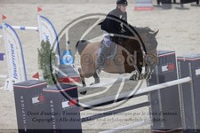 ref. photo 3413268