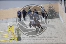 ref. photo 3413281