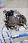 ref. photo 3413284