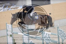 ref. photo 3413285