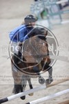 ref. photo 3413309