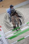 ref. photo 3413312