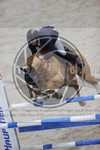 ref. photo 3413328