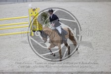 ref. photo 3413331