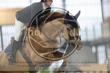 ref. photo 3413337