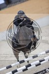 ref. photo 3413351