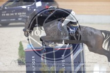 ref. photo 3413352