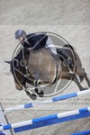 ref. photo 3413358