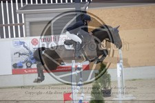 ref. photo 3413372