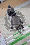 ref. photo 3413375