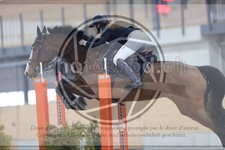 ref. photo 3413406