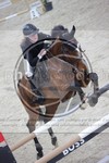 ref. photo 3413415