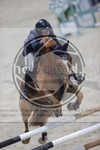 ref. photo 3413420