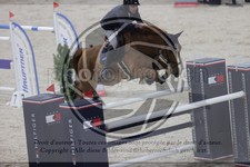 ref. photo 3413423