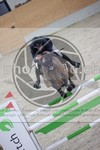 ref. photo 3413431