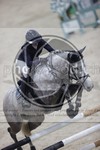 ref. photo 3413447
