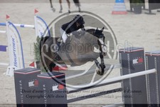 ref. photo 3413453