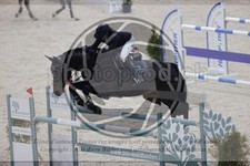 ref. photo 3413456