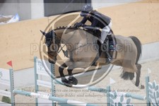 ref. photo 3413469
