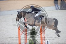 ref. photo 3413478