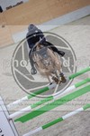 ref. photo 3413481