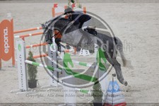 ref. photo 3413496