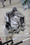 ref. photo 3413509