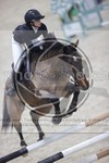 ref. photo 3413518