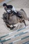 ref. photo 3413520
