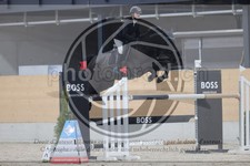 ref. photo 3413527