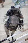 ref. photo 3413533
