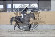 ref. photo 3413535
