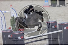 ref. photo 3413539