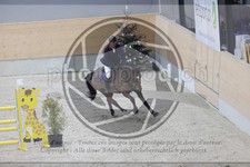 ref. photo 3413548