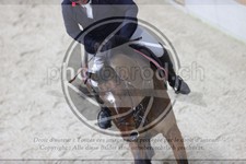 ref. photo 3413550