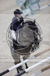 ref. photo 3413566
