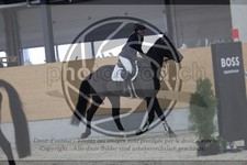 ref. photo 3413584