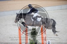 ref. photo 3413590