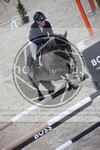 ref. photo 3413595